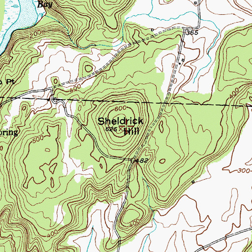 Topographic Map of Sheldrick Hill, VT