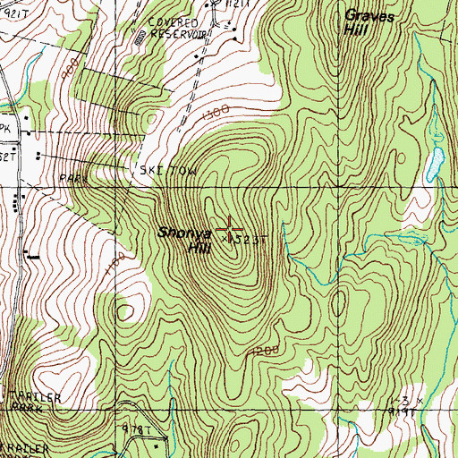 Topographic Map of Shonya Hill, VT