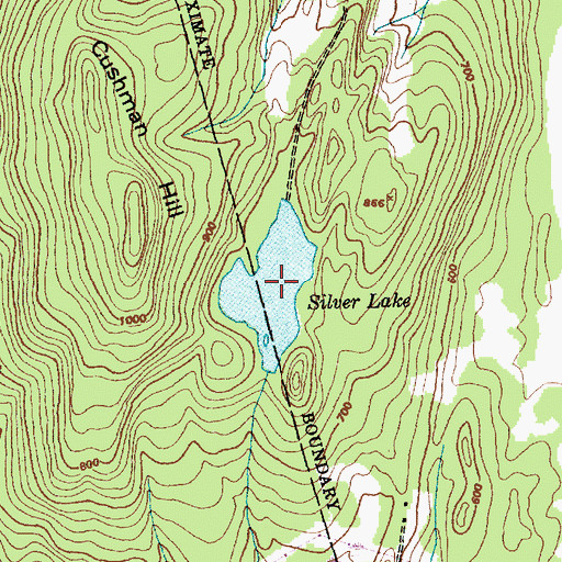 Topographic Map of Silver Lake, VT