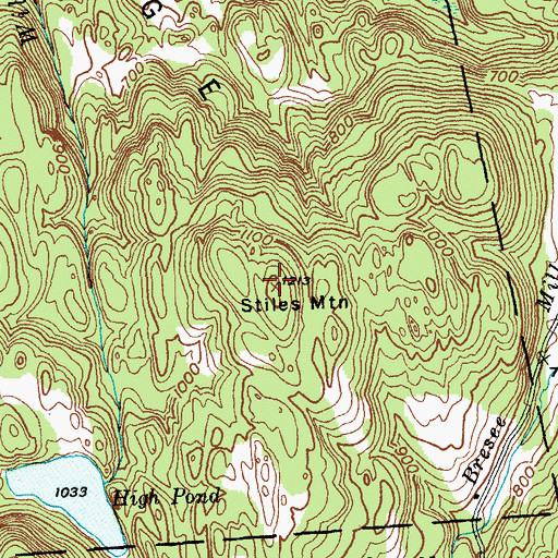 Topographic Map of Stiles Mountain, VT