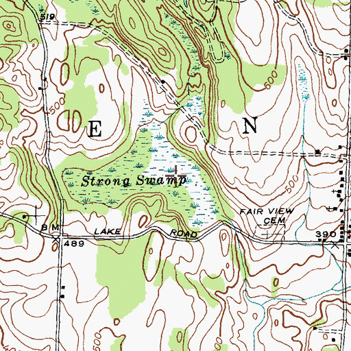Topographic Map of Strong Swamp, VT