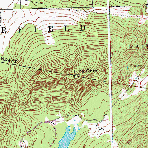 Topographic Map of The Gore, VT