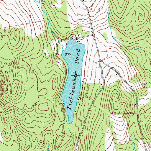 Topographic Map of Ticklenaked Pond, VT