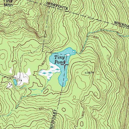 Topographic Map of Tiny Pond, VT