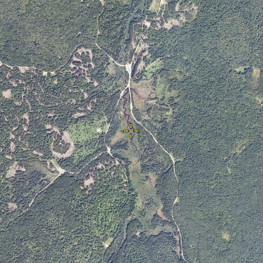 Aerial/Satellite Image of Tolman Brook, VT
