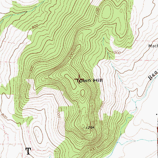 Topographic Map of Town Hill, VT