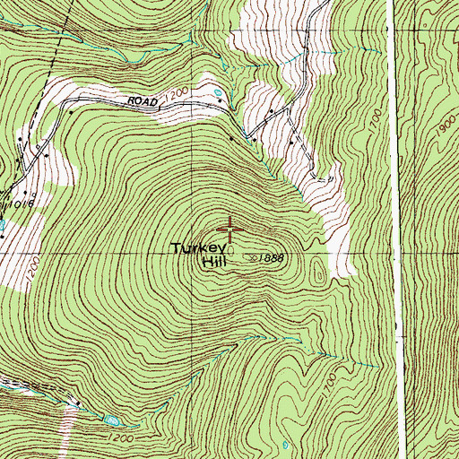 Topographic Map of Turkey Hill, VT