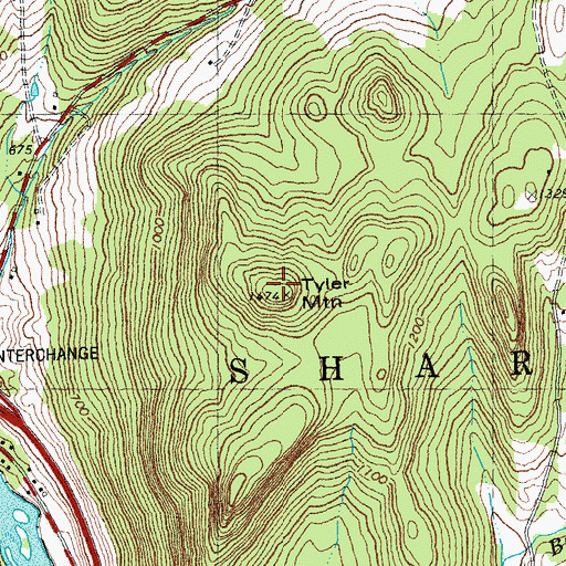 Topographic Map of Tyler Mountain, VT