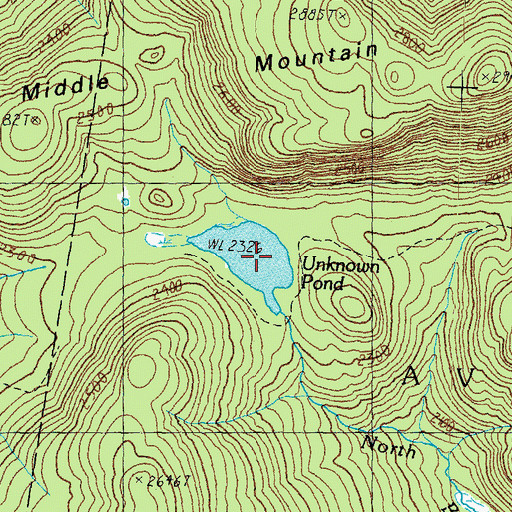 Topographic Map of Unknown Pond, VT