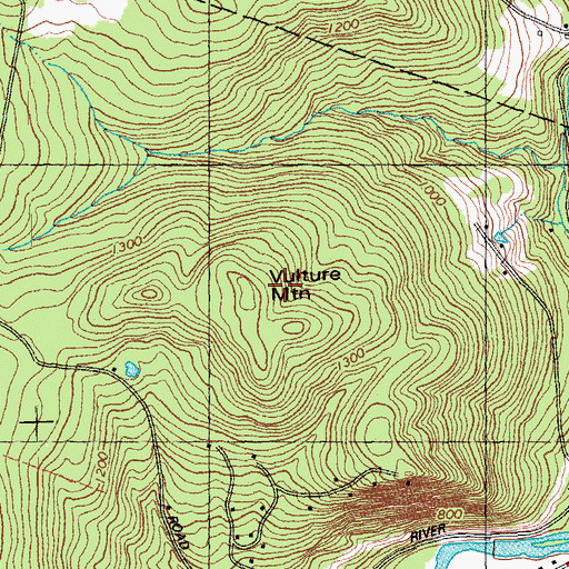 Topographic Map of Vulture Mountain, VT