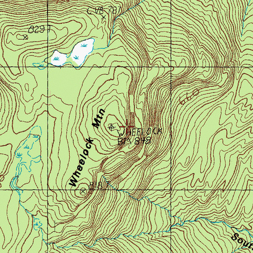 Topographic Map of Wheelock Mountain, VT