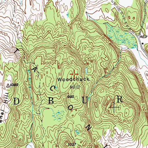 Topographic Map of Woodchuck Hill, VT