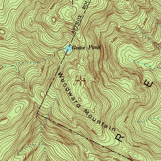 Topographic Map of Woodward Mountain, VT