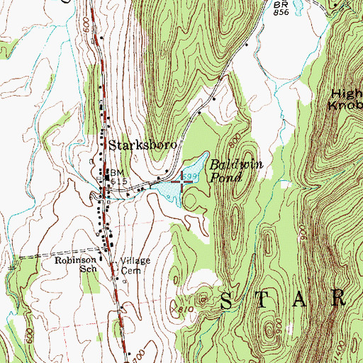 Topographic Map of Baldwin Pond, VT