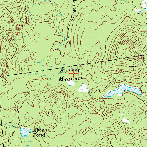 Topographic Map of Beaver Meadow, VT