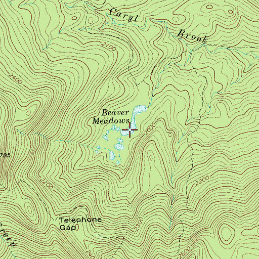 Topographic Map of Beaver Meadows, VT