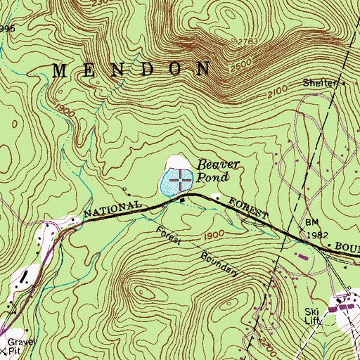 Topographic Map of Beaver Pond, VT