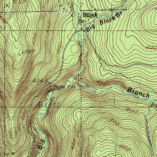 Topographic Map of Big Black Branch, VT