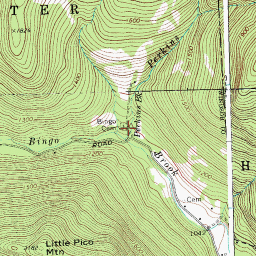 Topographic Map of Bingo Cemetery, VT