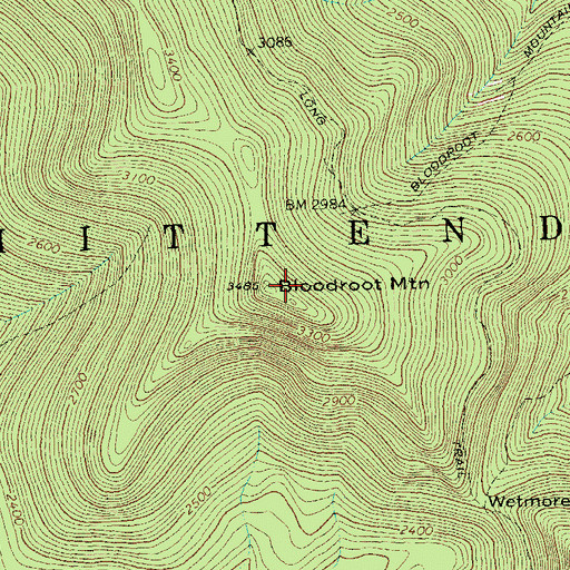 Topographic Map of Bloodroot Mountain, VT
