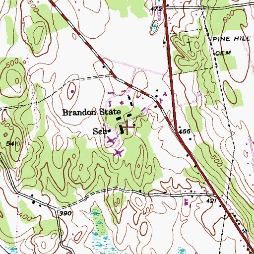 Topographic Map of Brandon State School, VT