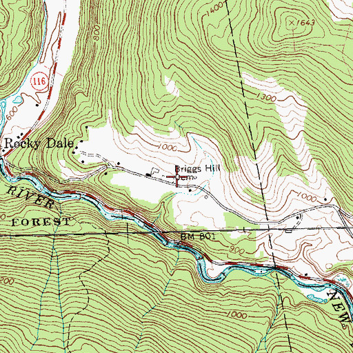 Topographic Map of Briggs Hill Cemetery, VT