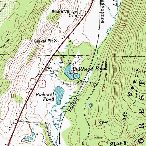 Topographic Map of Bullhead Pond, VT