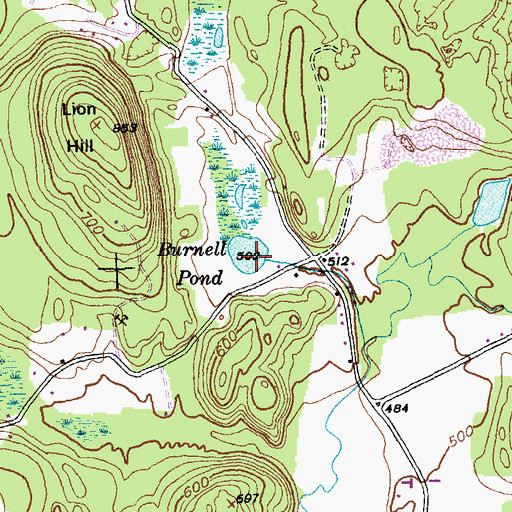 Topographic Map of Burnell Pond, VT