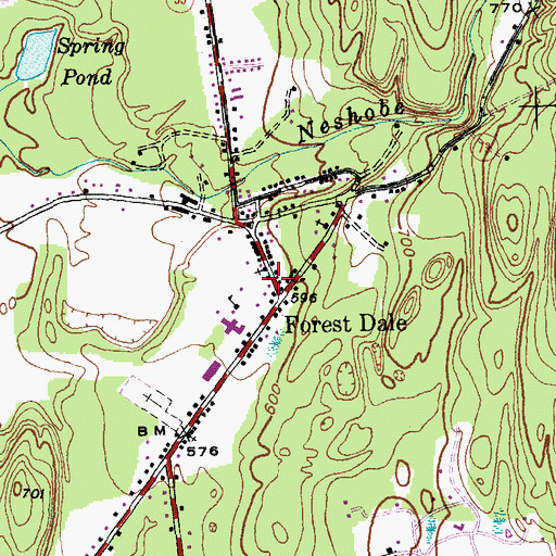 Topographic Map of Forest Dale, VT