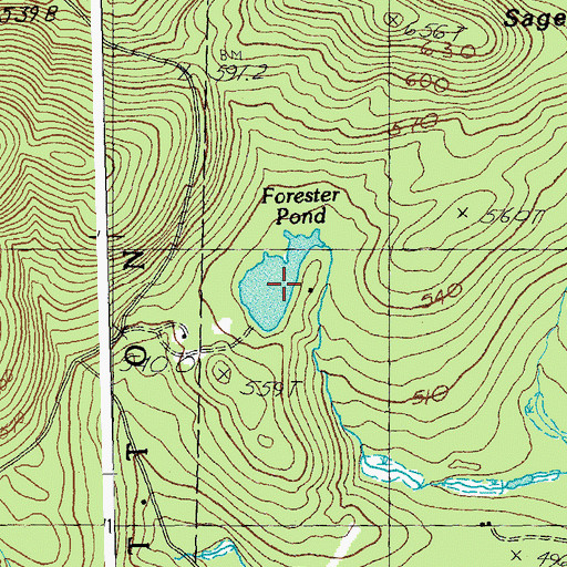 Topographic Map of Forester Pond, VT