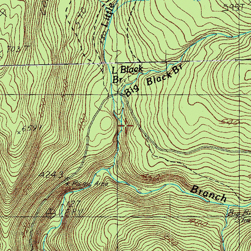 Topographic Map of Little Black Branch, VT