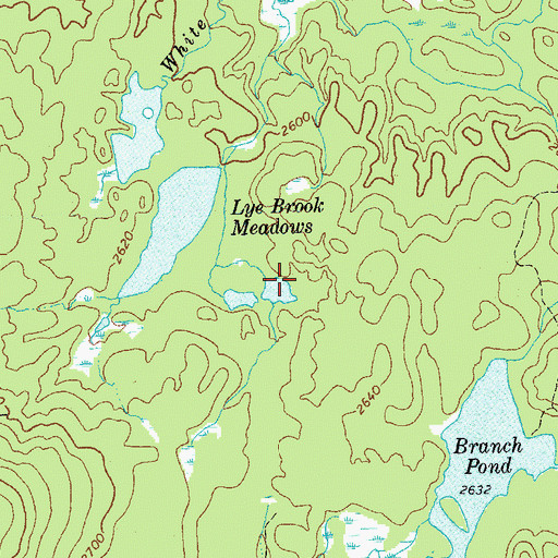 Topographic Map of Lye Brook Meadows, VT