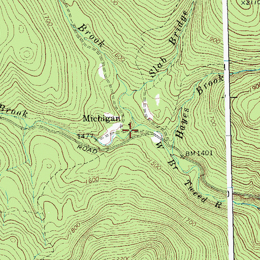 Topographic Map of Michigan, VT