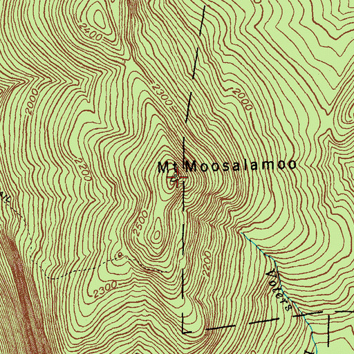 Topographic Map of Mount Moosalamoo, VT