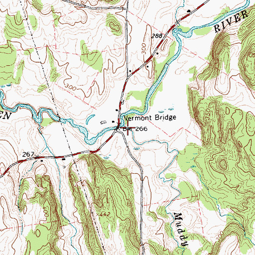 Topographic Map of Muddy Branch, VT