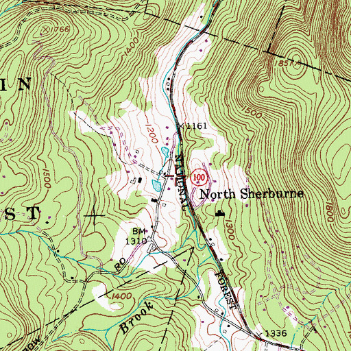 Topographic Map of North Sherburne, VT