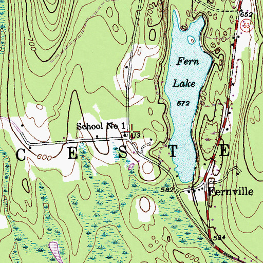 Topographic Map of School Number 1, VT