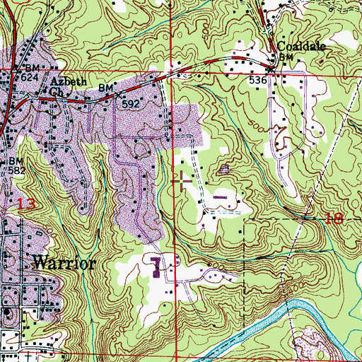 Topographic Map of Riverside Mine, AL