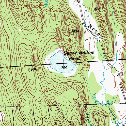 Topographic Map of Sugar Hollow Pond, VT