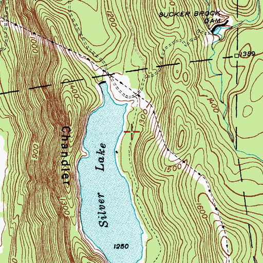 Topographic Map of Silver Lake Camp and Picnic Grounds, VT