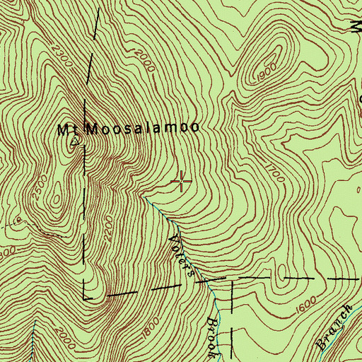 Topographic Map of Mount Moosalamoo Trail, VT