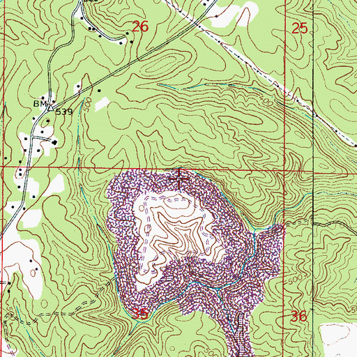 Topographic Map of Gilmore Mine, AL