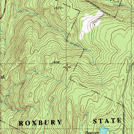 Topographic Map of Town of Roxbury, VT