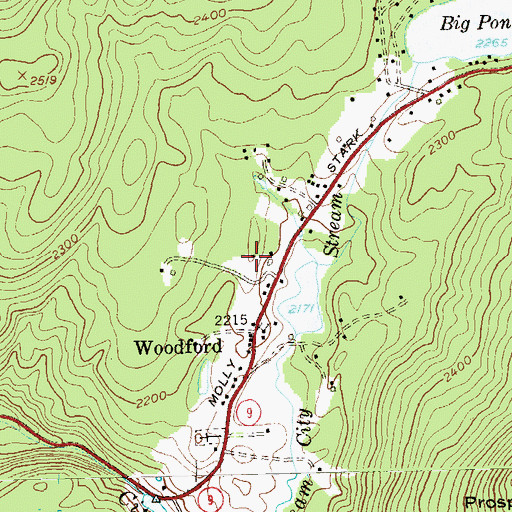 Topographic Map of Town of Woodford, VT