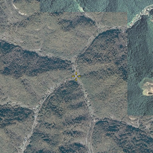 Aerial/Satellite Image of Abners Fork, VA