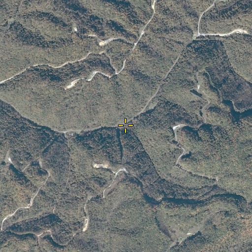Aerial/Satellite Image of Adkins Trace, VA
