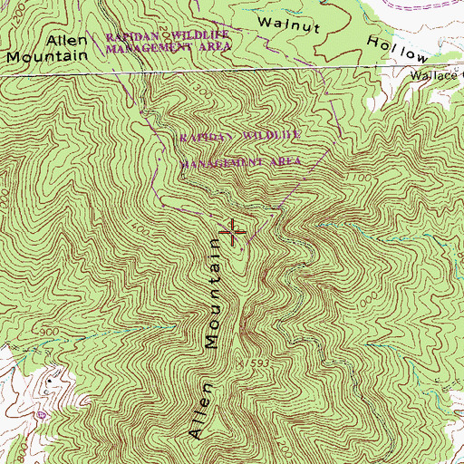 Topographic Map of Allen Mountain, VA