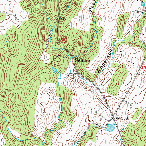 Topographic Map of Angelica Branch, VA