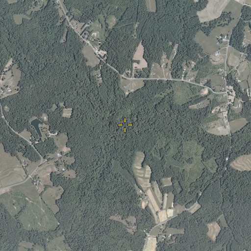 Aerial/Satellite Image of Back Branch, VA