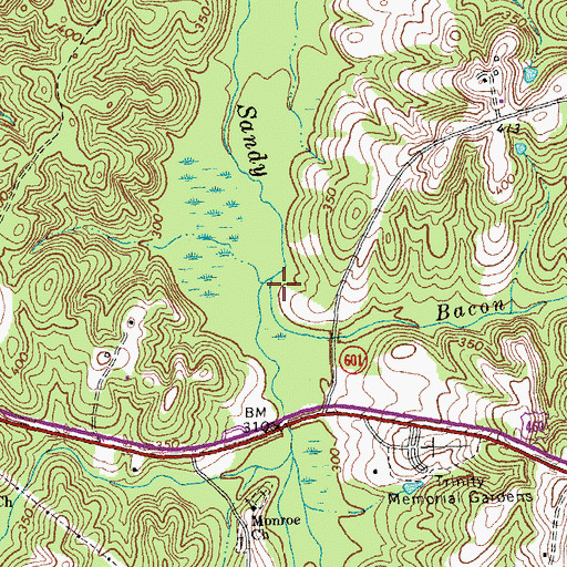 Topographic Map of Bacon Branch, VA